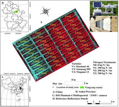 Rapid prediction of winter wheat yield and nitrogen use efficiency using consumer-grade unmanned aerial vehicles multispectral imagery